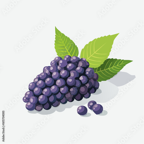Illustration of plump purple grapes with vibrant green leaves on a clean background