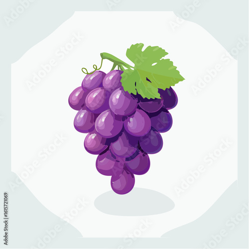 Illustration of a Bunch of Fresh Purple Grapes with Green Leaf on White Background