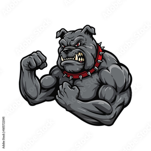 Aggressive Bulldog with Spiked Collar Flexing Muscles