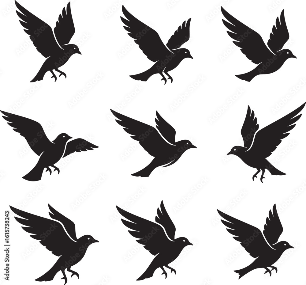Obraz premium Set of Flying Bird Silhouettes – Black and White Vector Illustration