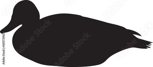 WATERFOWL BIRD SILHOUETTE