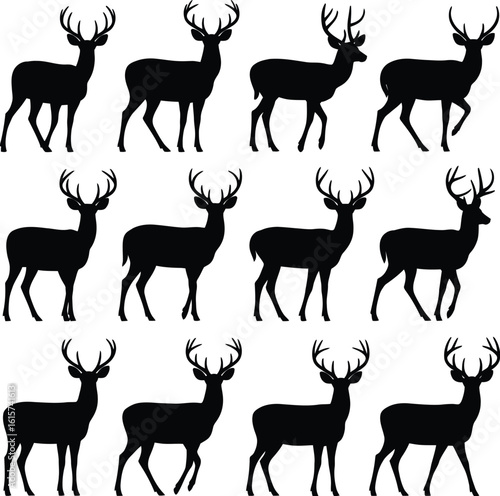 Majestic deer silhouettes standing and walking stag
