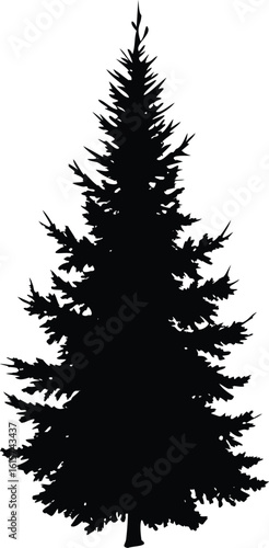 Black Silhouette Illustration of a Tall Pine or Fir Tree