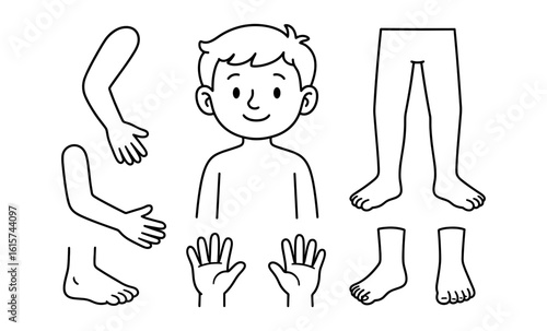 Cute cartoon boy with separated body parts for educational purposes