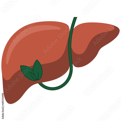 hepatitis