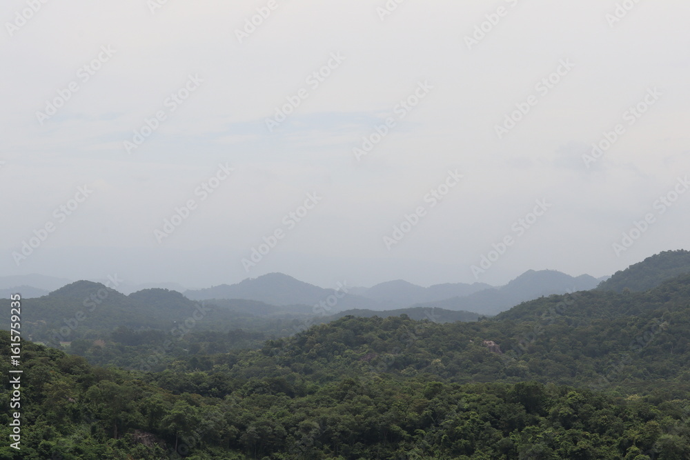 Serene Mountain Vista: A tranquil panoramic view of rolling mountains covered in lush green forests stretching towards the horizon under a hazy sky. Serene Mountain Vista: A tranquil panoramic view of rolling mountains covered in lush green forests stretching towards the horizon under a hazy sky.