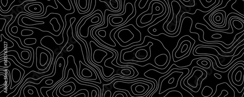 Topographic map background geographic line map with elevation assignments. Design illustration for wall art, fabric, packaging, web, banner, wallpaper.