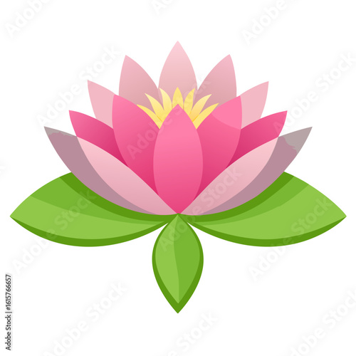 water lily flower vector illustration