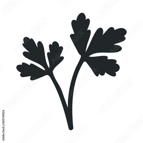 Silhouette of fresh parsley leaves on white background