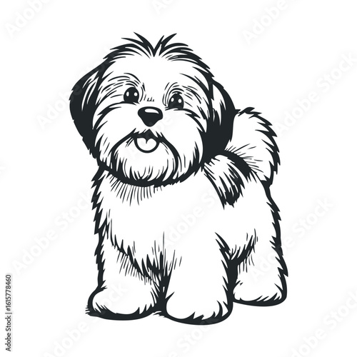 Fluffy shih tzu sketch with tongue out in black and white
