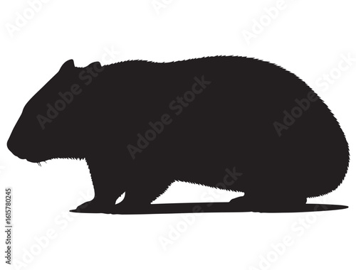 WOMBAT SILHOUETTE