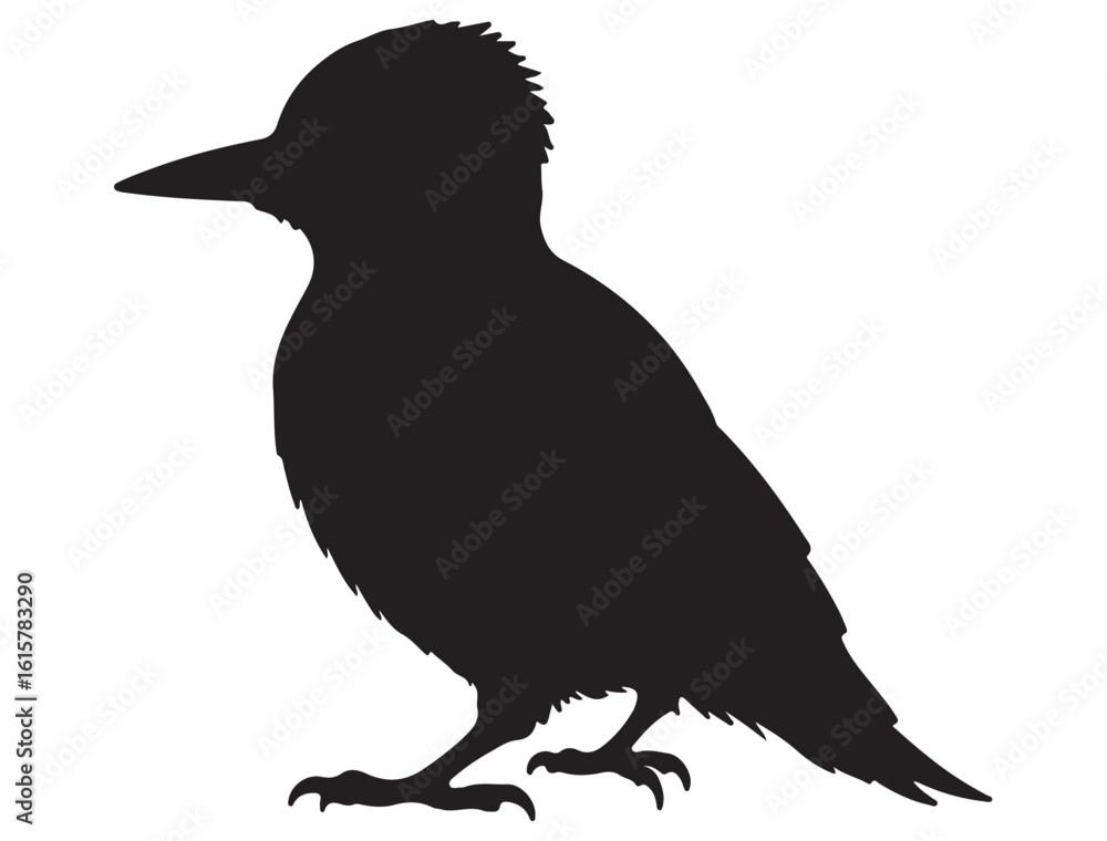 Obraz premium WOODPECKER SILHOUETTE