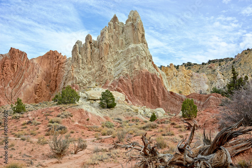 Scenic Cottonwood Road Winding Through Utah's Desert Wilderness