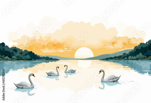 Four swans swimming on lake during sunset with soft reflections  