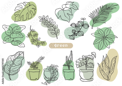 手描き風の観葉植物ラフな着彩イラストセット緑
