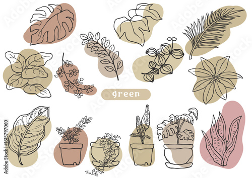 手描き風の観葉植物ラフな着彩イラストセット