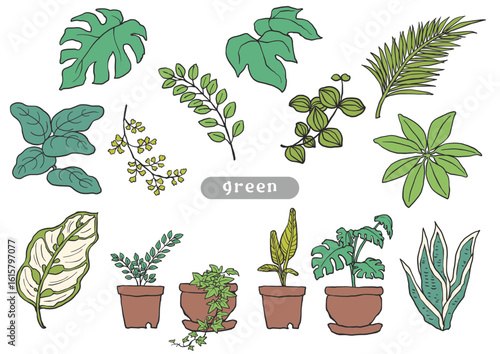 手描き風の観葉植物のカラーイラストセット