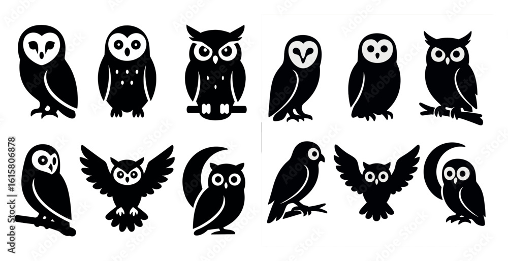 Set of owl silhouettes with one owl looking at the camera. The silhouettes are black and white and are arranged in a row Set of owl silhouettes with one owl looking at the camera. The silhouettes are black and white and are arranged in a row