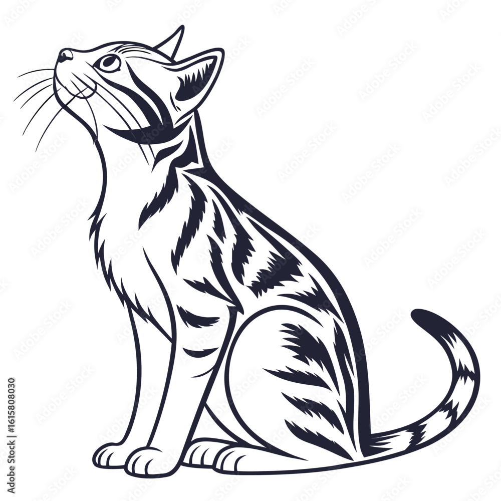 Obraz premium cat