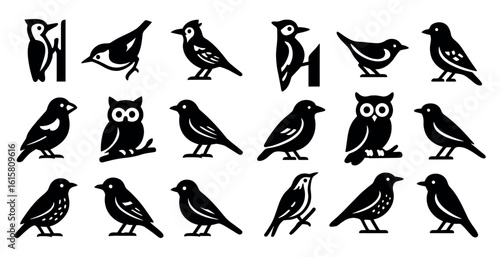 Collection of black and white bird silhouettes. The birds are arranged in a grid, with some of them facing left and others facing right. The birds vary in size and shape, with some resembling owls