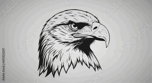 head of eagle