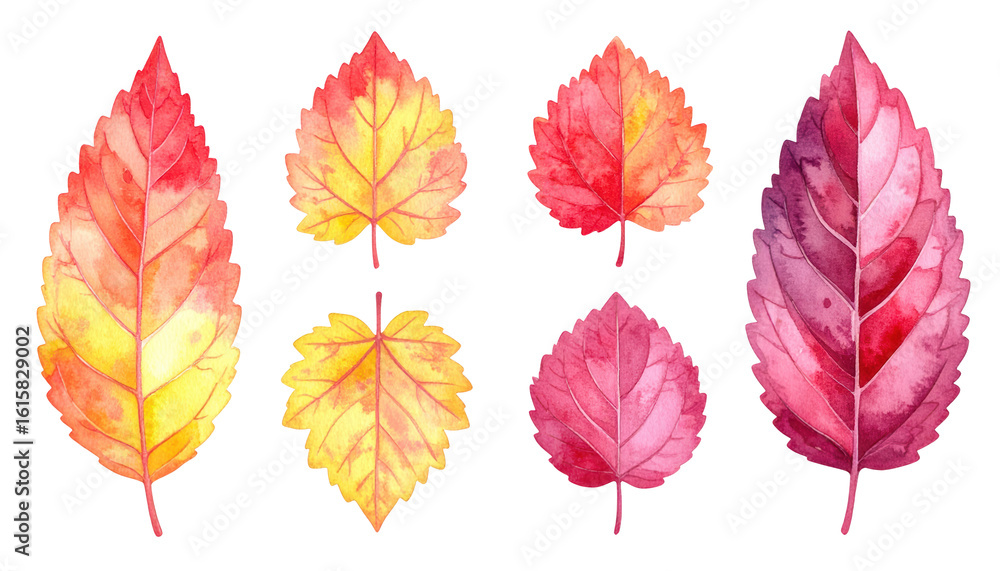 Fototapeta premium Watercolor autumn leaves png, vibrant fall foliage for seasonal designs