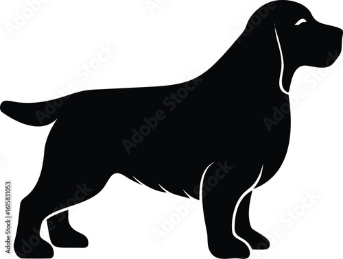 Sussex Spaniel dog silhouette vector illustration of rare English breed for digital and graphic use