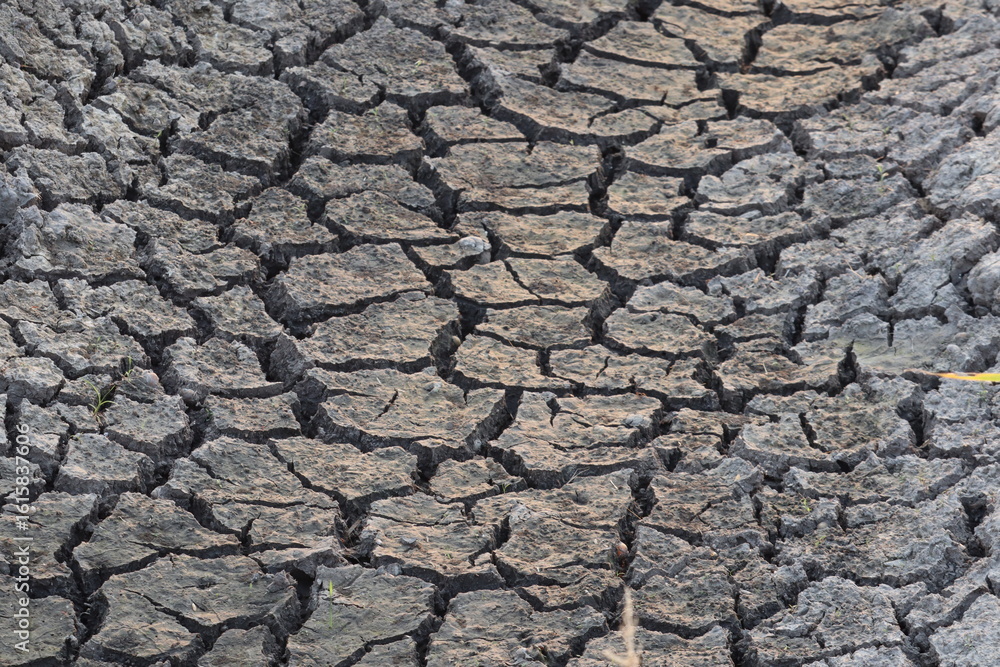 Cracked Earth: A detailed texture of parched earth reveals a network of fissures. capturing the essence of drought and environmental change. Cracked Earth: A detailed texture of parched earth reveals a network of fissures. capturing the essence of drought and environmental change.
