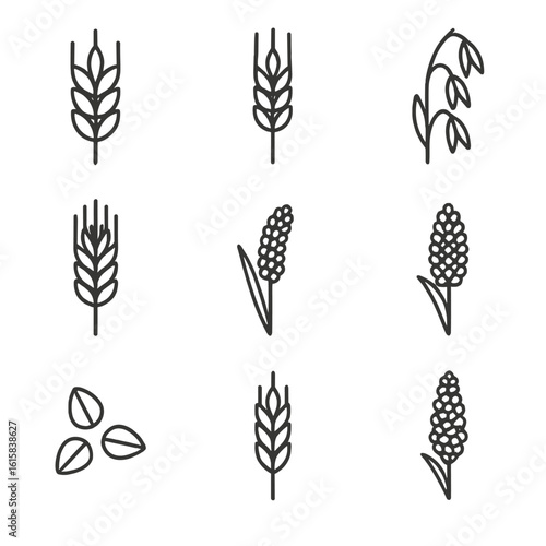 Whole Grain Icons. Line style icons of whole grains: wheat spike, barley stalk, oat cluster, rye bundle, millet stem, sorghum icon