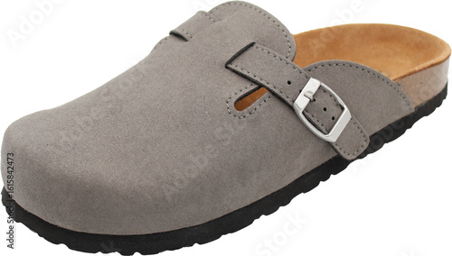 Quadro su tela Grey clog with metal buckle, black sole and light brown insole
