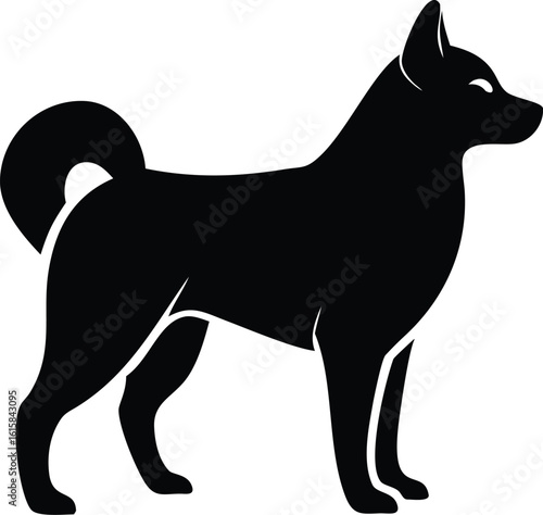 Norwegian buhund dog silhouette isolated on white spitz breed vector for stock illustration and design