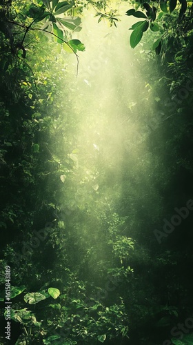 Sunlight Streaming Through Lush Green Forest Canopy