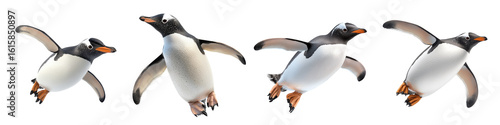 Four penguins in mid-air, captured as if flying or jumping with wings spread and feet extended.