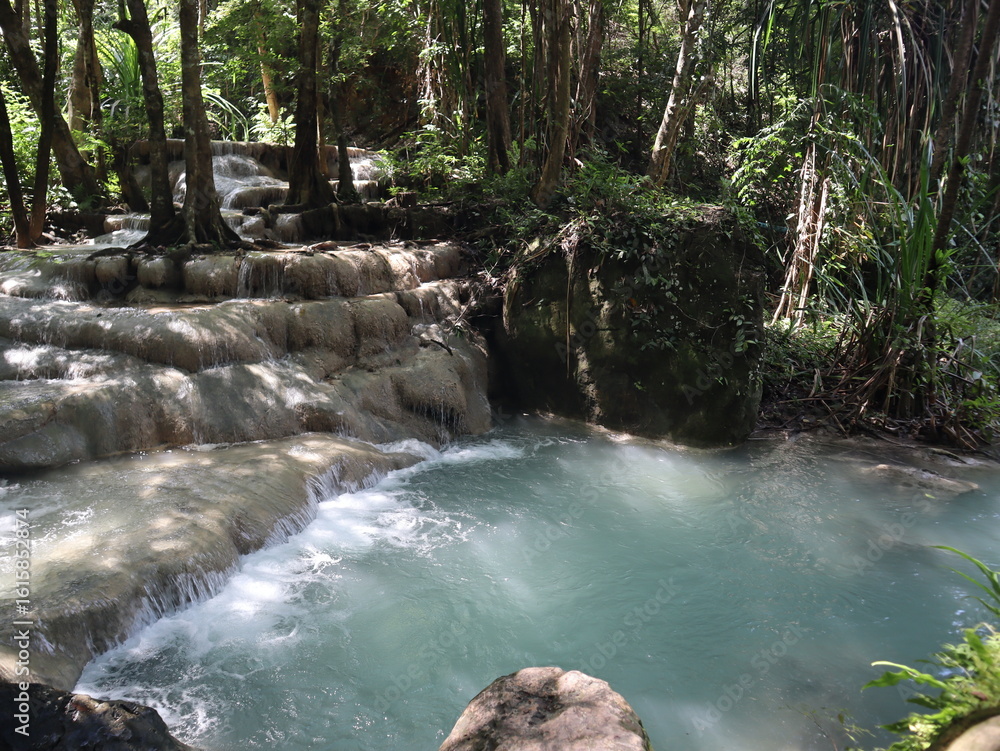 Naklejka premium Cascade of Serenity: A pristine cascade gracefully descends into a tranquil turquoise pool, embraced by lush, vibrant forestry, creating a soothing spectacle.