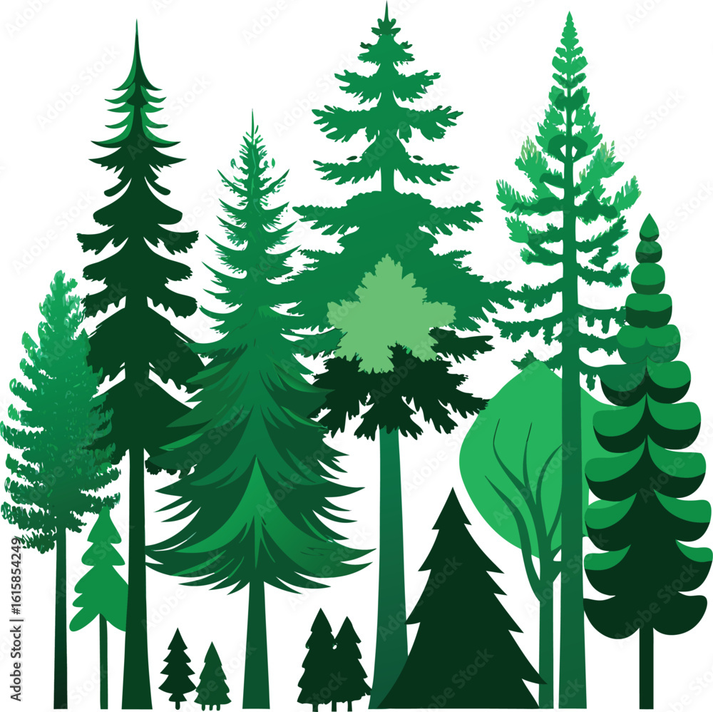 Fototapeta premium vector illustration of a forest