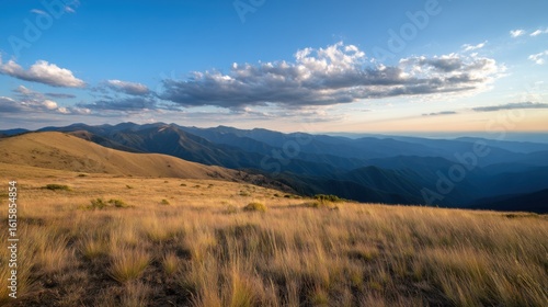 Picturesque mountain landscape with golden grassland, dark green forested hills, blue sky,