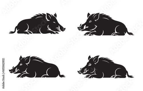 Set of four detailed black silhouette illustrations depicting wild boar animals