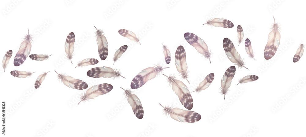 Fototapeta premium Tender feathers vector background. Easy plumelet ethnic indian graphics. Fluffy twirled feathers on white design. Plumage fluff dreams symbols.