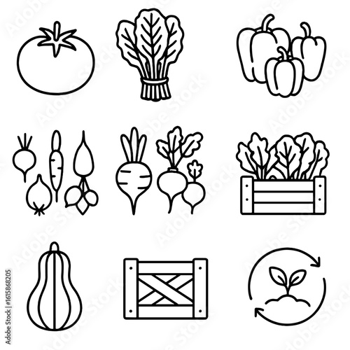 Diverse Crop Icons. Line style icons of crop variety and diversity: heirloom tomato icon, rainbow chard bunch, colorful pepper mix