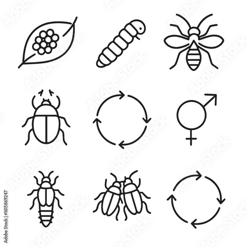 Pest Lifecycle Icons. Line style icons of pest lifecycle stages: egg cluster on leaf, larva crawling, pupa case icon, emerging