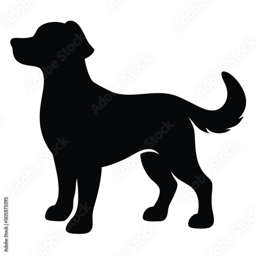 Silhouette of a Standing Dog with Alert Ears and Tail Up
