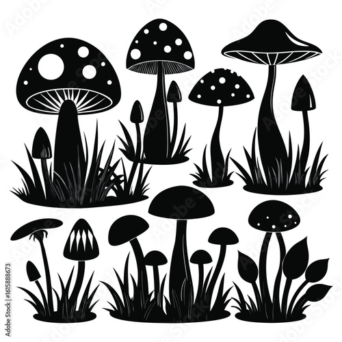 Cartoon vector illustration of autumn forest mushrooms on green grass