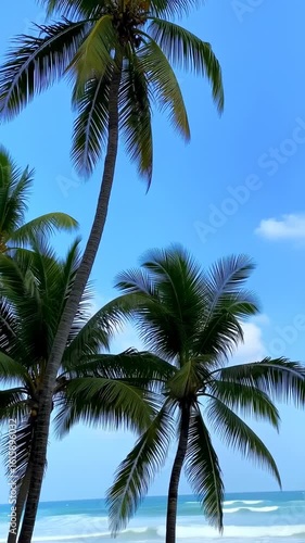 Wallpaper Mural Tall palm trees swaying gently under clear blue sky on tropical beach with calm ocean in background Torontodigital.ca