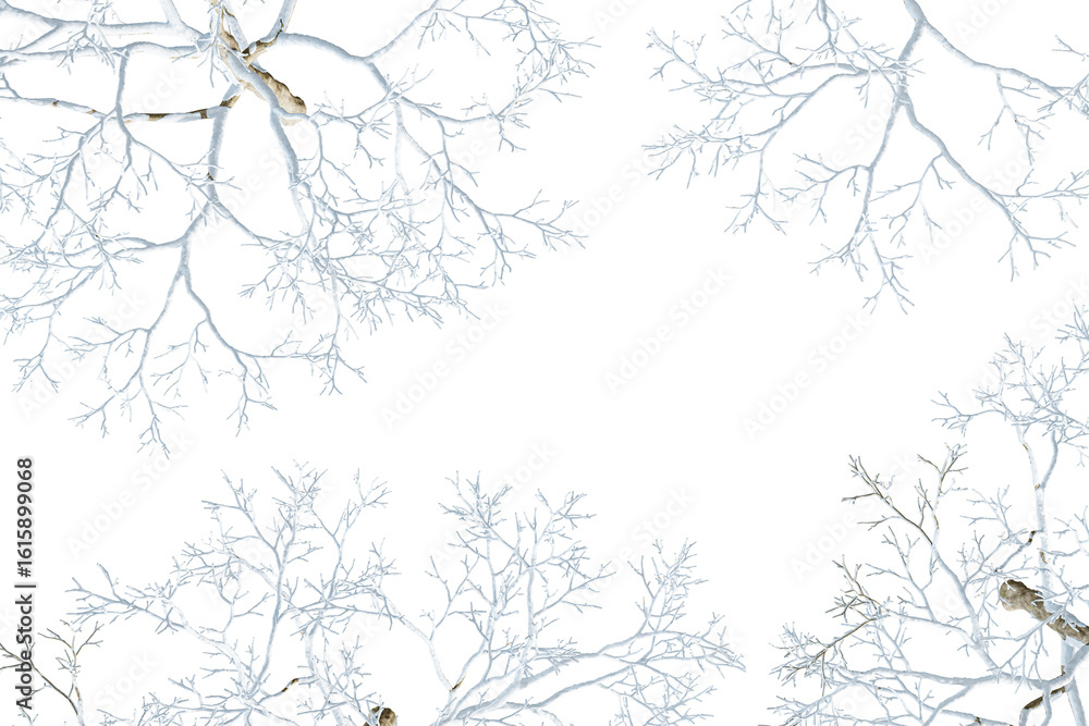 Fototapeta premium branches of tree with snow isolated on whtie