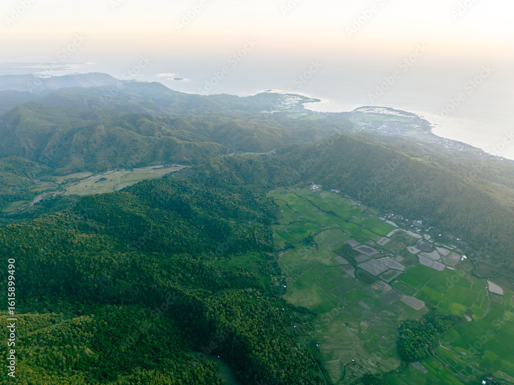 Fototapeta premium Tropical Farmland Sunset