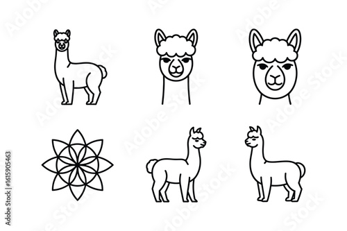 Line art alpaca illustrations and geometric pattern llama animal