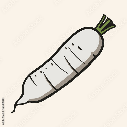 Whole daikon radish, symbol of detox and Asian cuisine 