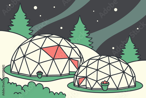 Geodesic greenhouse domes growing Arctic berries in Norway under aurora skies, modern flat illustration style