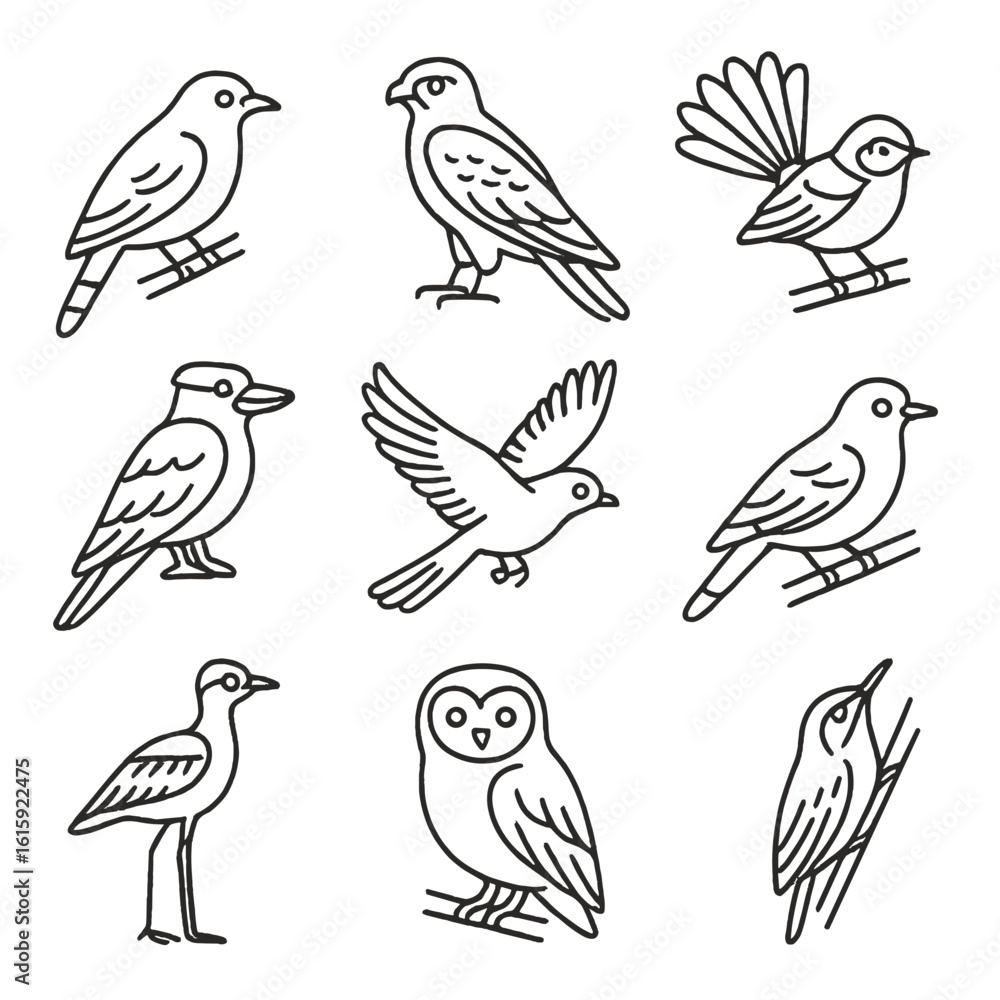 Fototapeta premium Australian Bird Icons. Line style icons of Australian birds: eastern koel, brown falcon, grey fantail, blue-winged kookaburra,