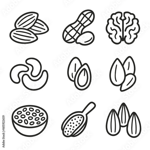 Nuts and Seeds Icons. Line style icons of Nuts and Seeds Protein: almond pile, peanut in shell, walnut cracked, cashew handful,